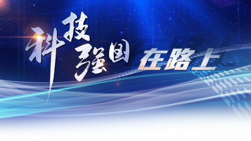 开源搜索引擎的架构复杂度解析